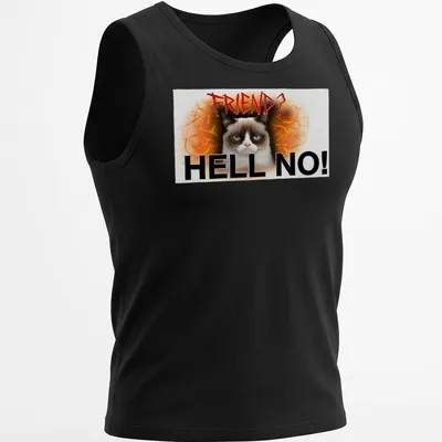 Grunge art t-shirt featuring an angry cat with bold text reading 'FRIEND? HELL NO!' — printed on a tank top