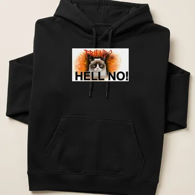 Grunge art t-shirt featuring an angry cat with bold text reading 'FRIEND? HELL NO!' — printed on a unisex hoodie