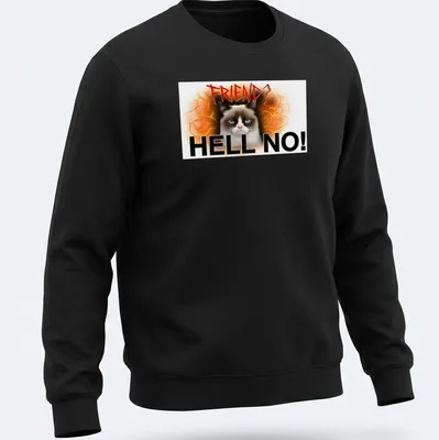 Grunge art t-shirt featuring an angry cat with bold text reading 'FRIEND? HELL NO!' — printed on a unisex sweatshirt
