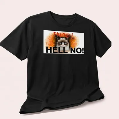 Grunge art t-shirt featuring an angry cat with bold text reading 'FRIEND? HELL NO!' — printed on a unisex t-shirt (angled view)