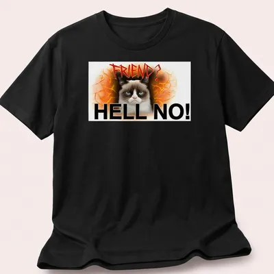 Grunge art t-shirt featuring an angry cat with bold text reading 'FRIEND? HELL NO!'