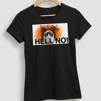 Grunge art t-shirt featuring an angry cat with bold text reading 'FRIEND? HELL NO!' — printed on a women's shirt