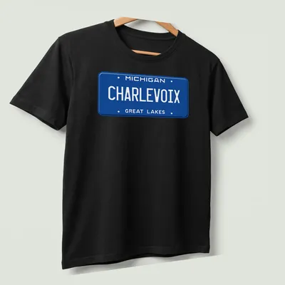 Vintage style t-shirt featuring a Michigan license plate design with blue and white colors — printed on a unisex t-shirt (angled view)