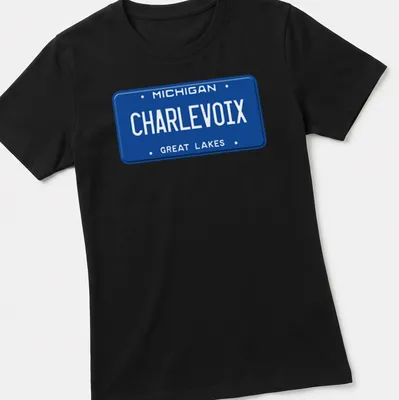Vintage style t-shirt featuring a Michigan license plate design with blue and white colors — printed on a women's shirt
