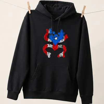 Distressed graphic featuring a Coqui frog representing Puerto Rico's flag colors — printed on a unisex hoodie