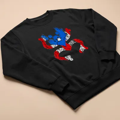Distressed graphic featuring a Coqui frog representing Puerto Rico's flag colors — printed on a unisex sweatshirt