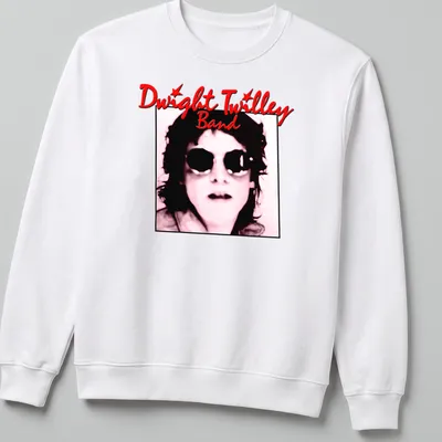 Vintage-inspired t-shirt featuring the Dwight Twilley Band in bold typography — printed on a unisex sweatshirt