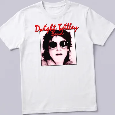 Vintage-inspired t-shirt featuring the Dwight Twilley Band in bold typography