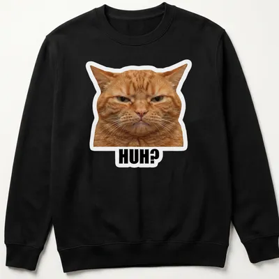 Illustration of a confused orange cat with the word 'HUH?' above it, in meme style. — printed on a unisex sweatshirt