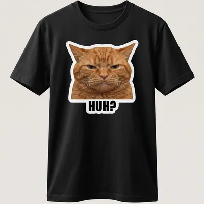 Illustration of a confused orange cat with the word 'HUH?' above it, in meme style. — printed on a unisex t-shirt