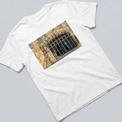Realistic green arched window t-shirt with white wrought iron bars