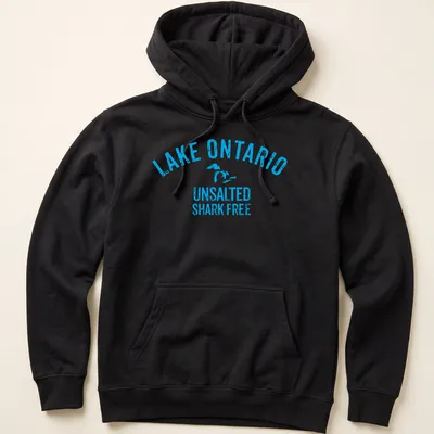 Vintage distressed t-shirt with Lake Ontario graphic and humorous text — printed on a unisex hoodie