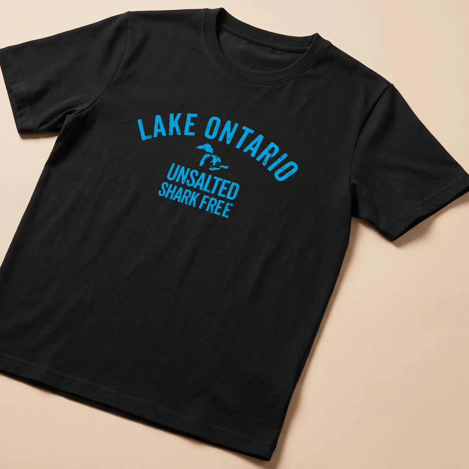Vintage distressed t-shirt with Lake Ontario graphic and humorous text — printed on a unisex t-shirt