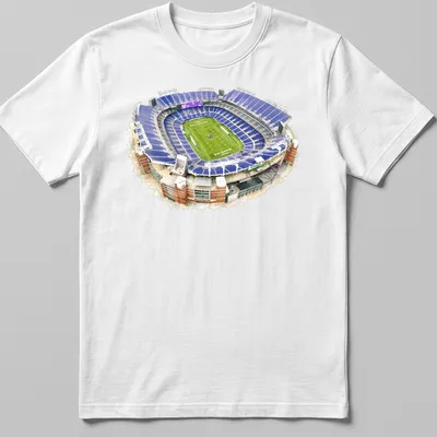 Watercolor print of M&T Bank Stadium in purple, green, white, and brown