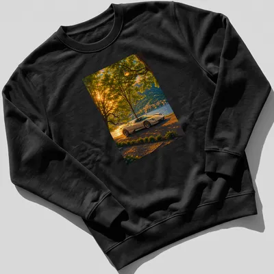 Realistic illustration of a Pagani Zonda racing through a colorful landscape. — printed on a unisex sweatshirt