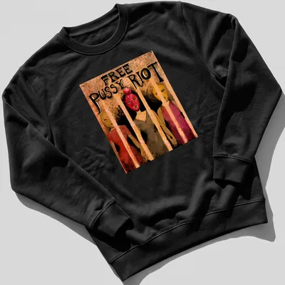 Illustrative design of Pussy Riot characters behind bars with the text 'FREE PUSSY RIOT' in bold colors. — printed on a unisex sweatshirt