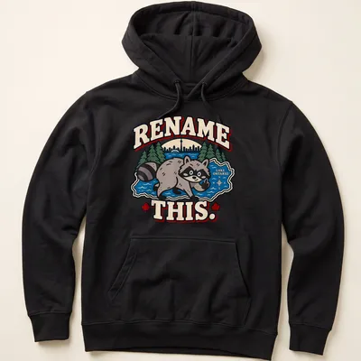 Cartoon raccoon pointing at Lake Ontario with playful text in bright colors — printed on a unisex hoodie