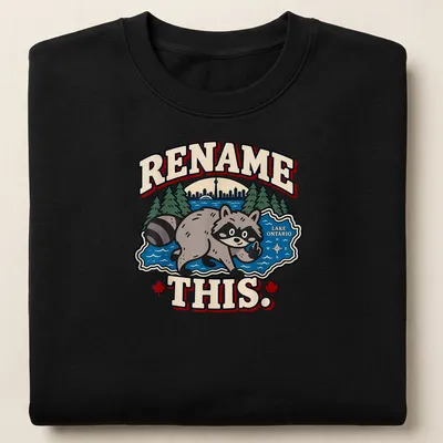 Cartoon raccoon pointing at Lake Ontario with playful text in bright colors — printed on a unisex sweatshirt