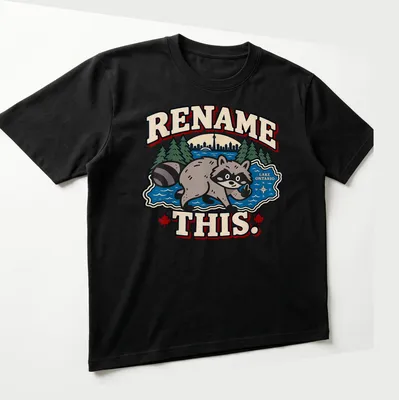 Cartoon raccoon pointing at Lake Ontario with playful text in bright colors — printed on a unisex t-shirt (angled view)