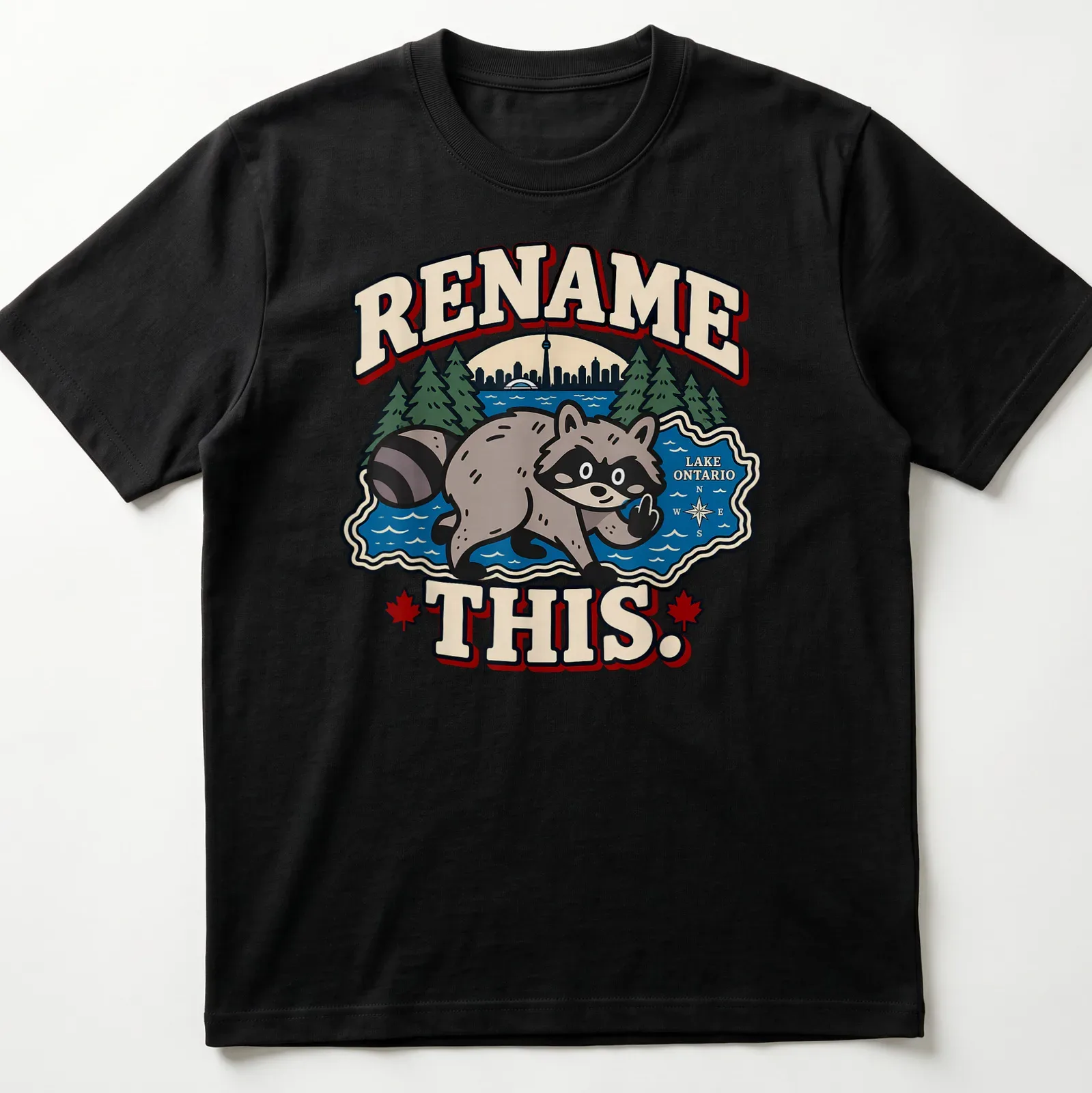 Cartoon raccoon pointing at Lake Ontario with playful text in bright colors — printed on a unisex t-shirt