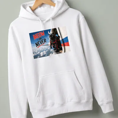 Realistic print of a skydiving cat with Meow Or Never text in bright colors — printed on a unisex hoodie