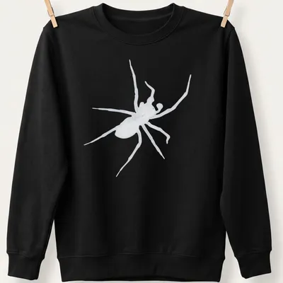 Bold black and white illustration of a spider on a dark — printed on a unisex sweatshirt